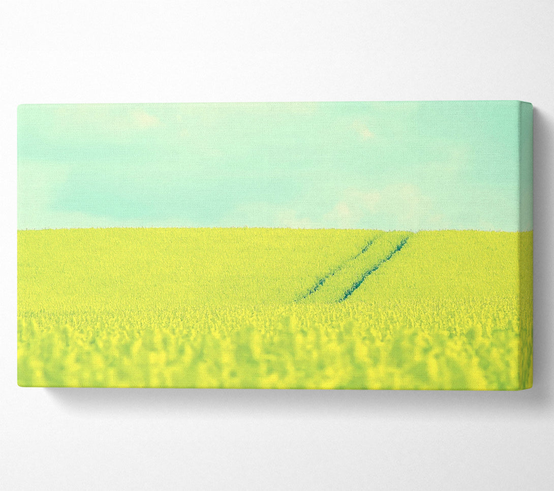  A Canvas Print of Beautiful Mustard Field Canvas Art