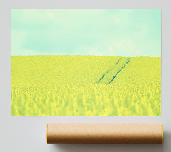 Beautiful Mustard Field Giclee Print