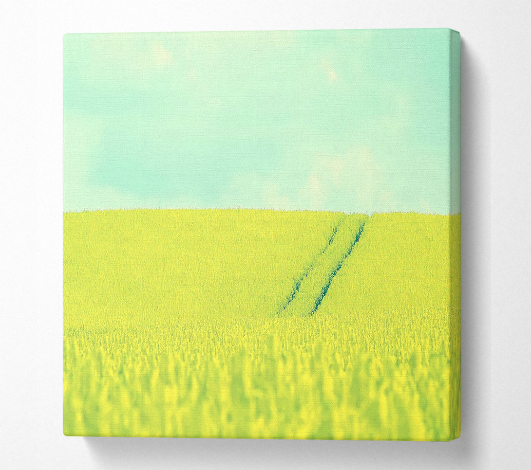  A Canvas Print of Beautiful Mustard Field Canvas Art
