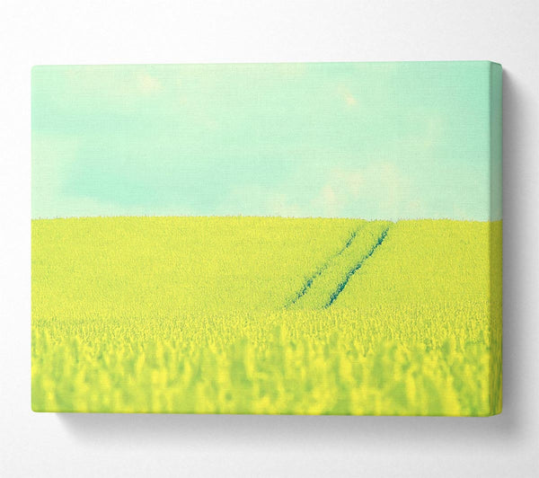 A Canvas Print of Beautiful Mustard Field Canvas Art
