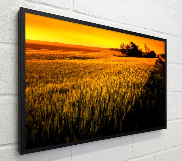 Sunset Over Wheat Field
