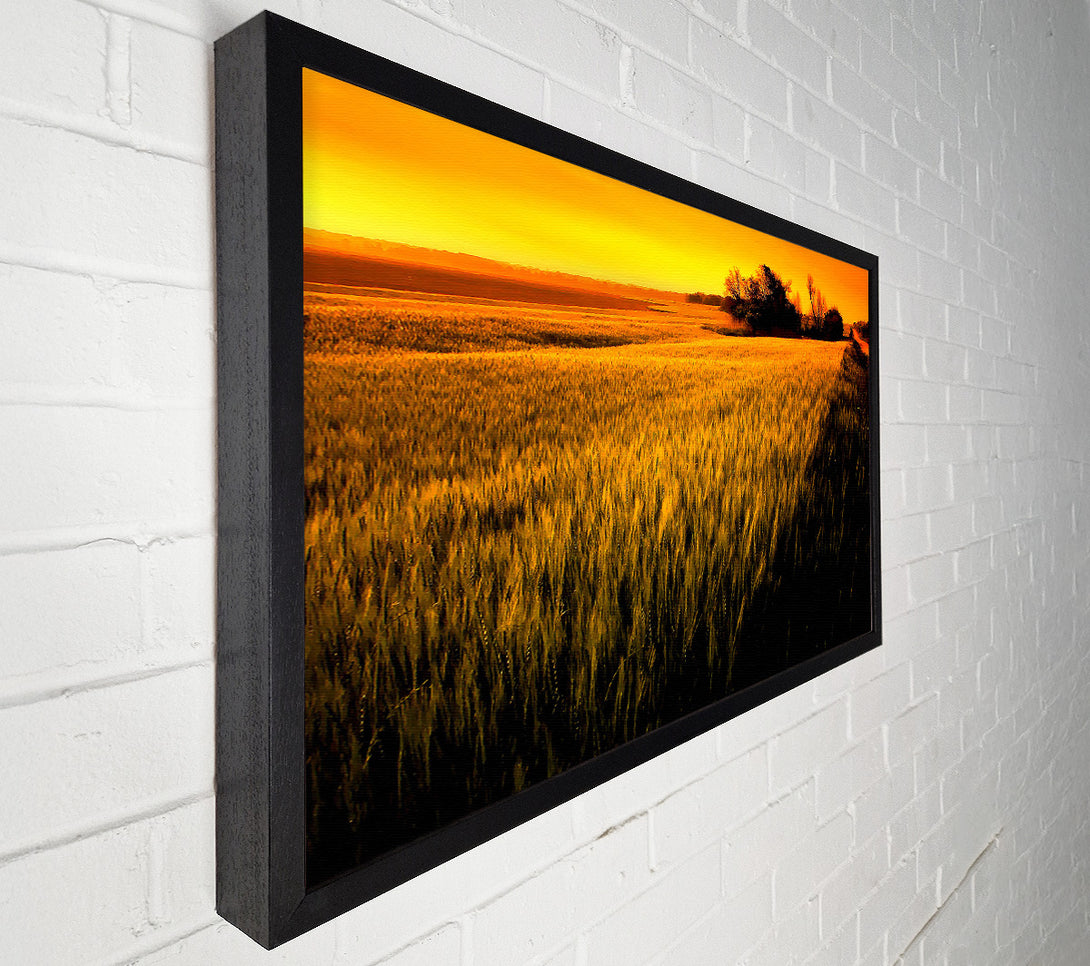  A Canvas Print of Sunset Over Wheat Field Canvas Print