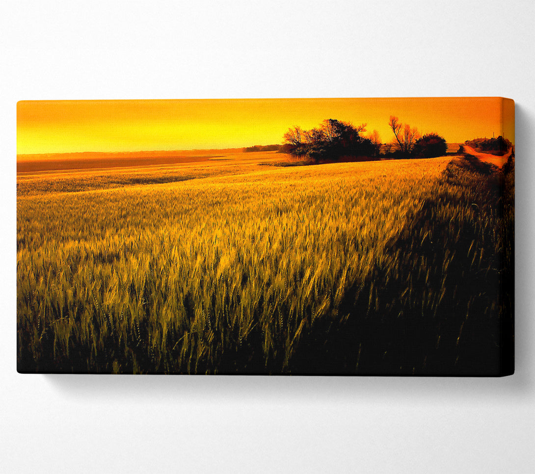  A Canvas Print of Sunset Over Wheat Field Canvas Print