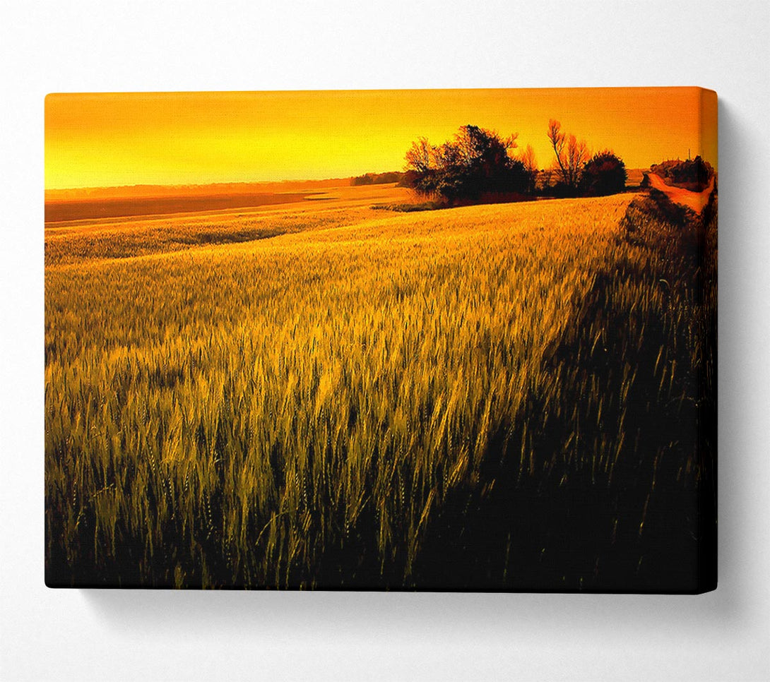  A Canvas Print of Sunset Over Wheat Field Canvas Print
