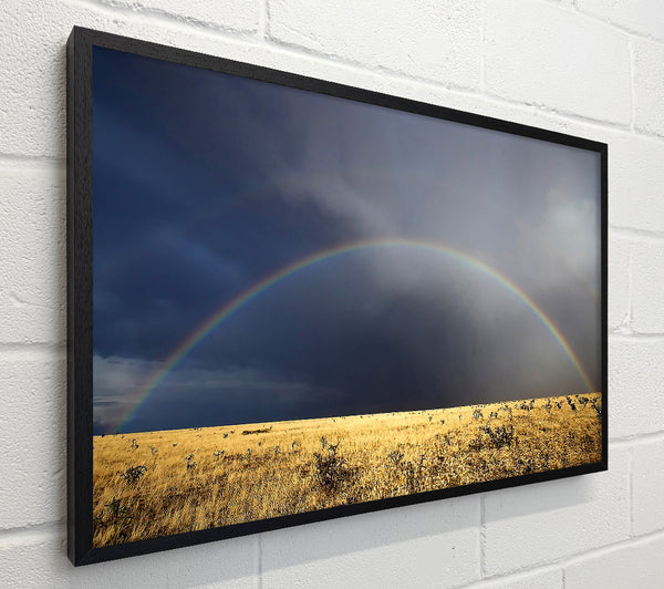 Desert Rainbow