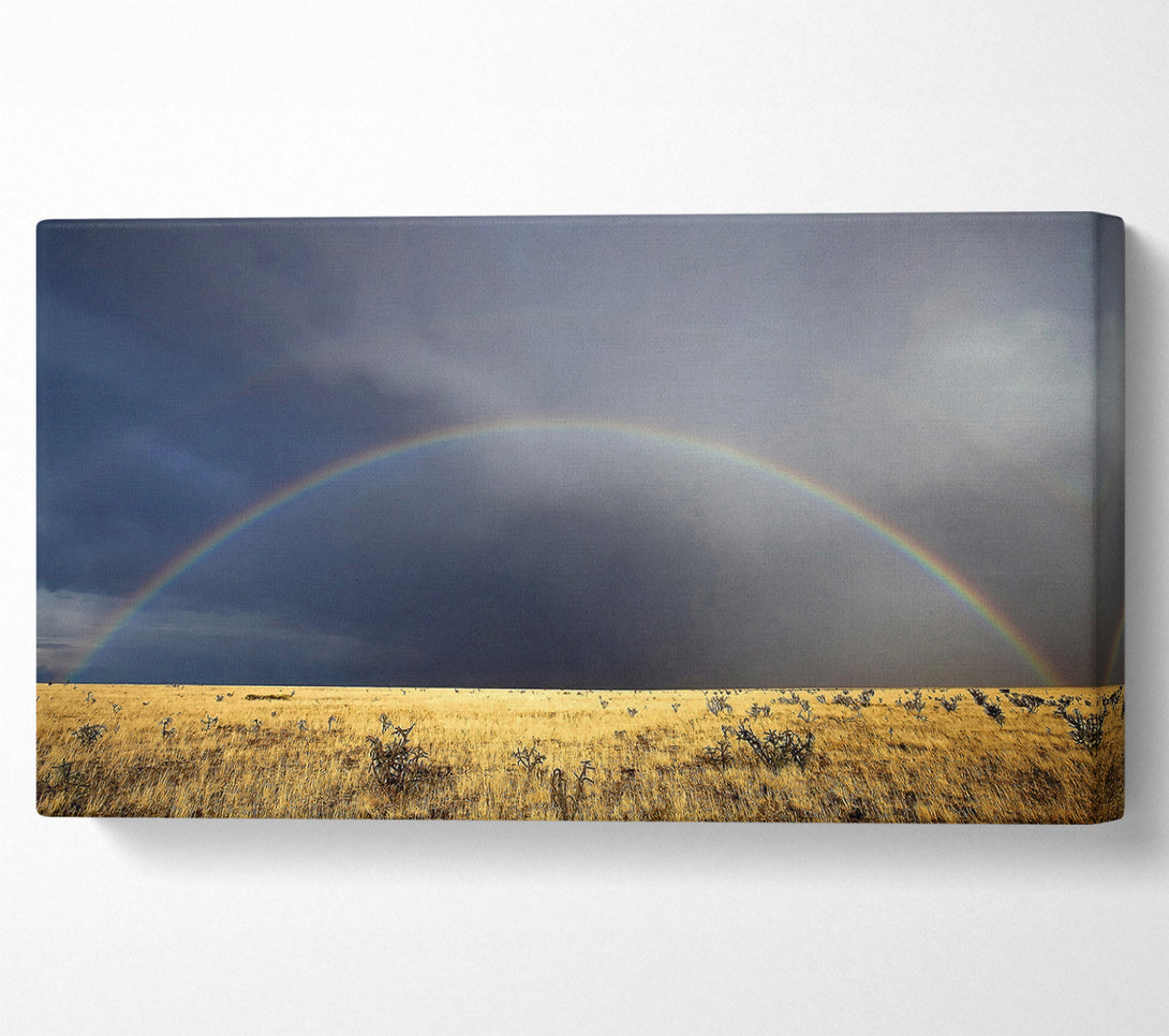  A Canvas Print of Desert Rainbow Canvas Wall Art