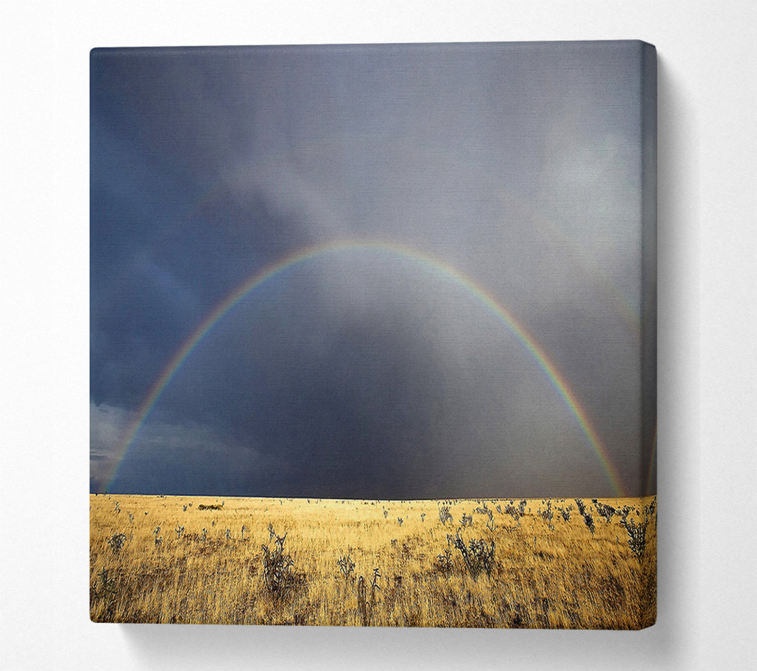  A Canvas Print of Desert Rainbow Canvas Wall Art