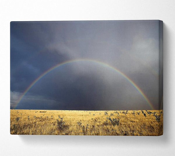  A Canvas Print of Desert Rainbow Canvas Wall Art