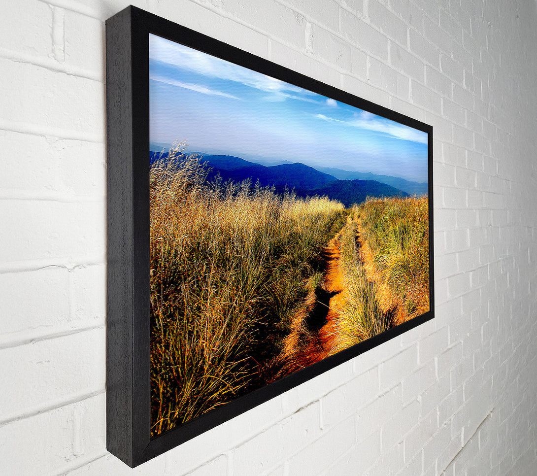  A Canvas Print of Hiking Path Canvas Art