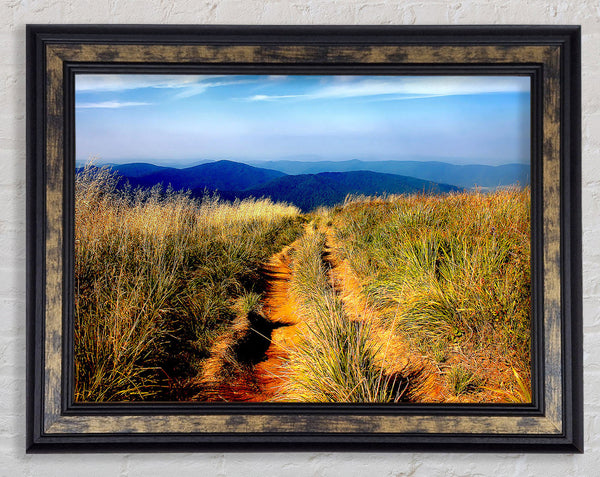 Hiking Path Framed Print