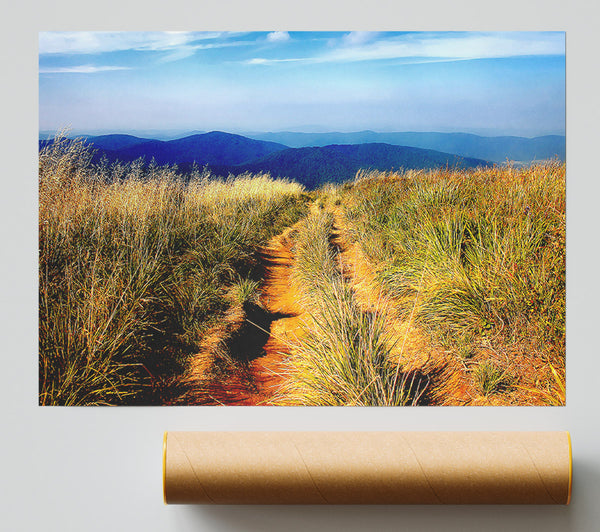 Hiking Path Giclee Print
