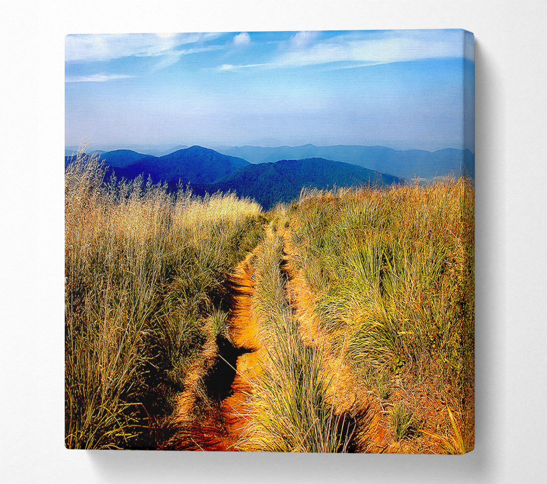 A Canvas Print of Hiking Path Canvas Art