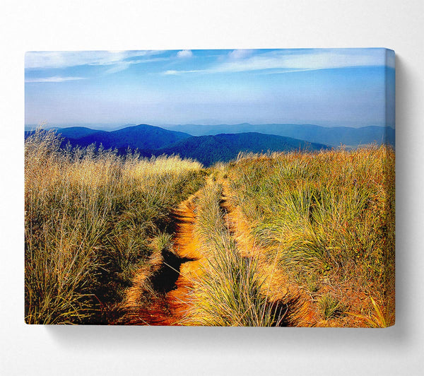  A Canvas Print of Hiking Path Canvas Art