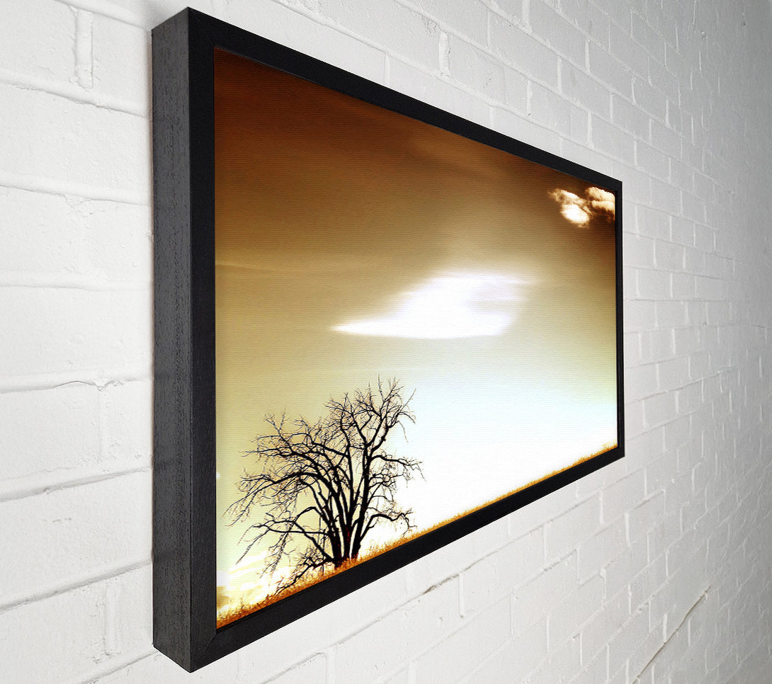  A Canvas Print of Lone Tree Canvas Art