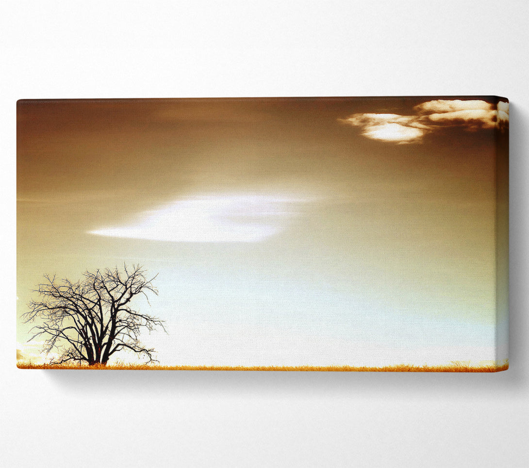  A Canvas Print of Lone Tree Canvas Art