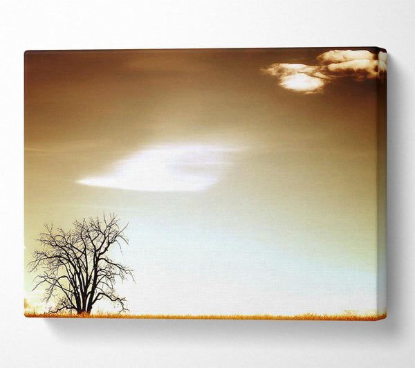  A Canvas Print of Lone Tree Canvas Art