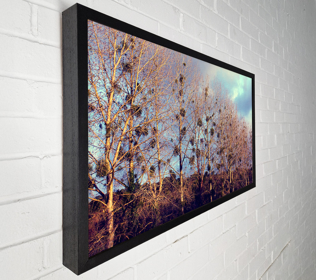 A Canvas Print of Bird Trees Canvas Print