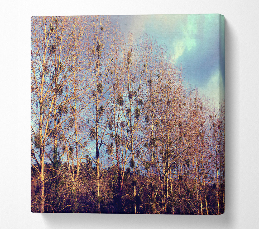  A Canvas Print of Bird Trees Canvas Print