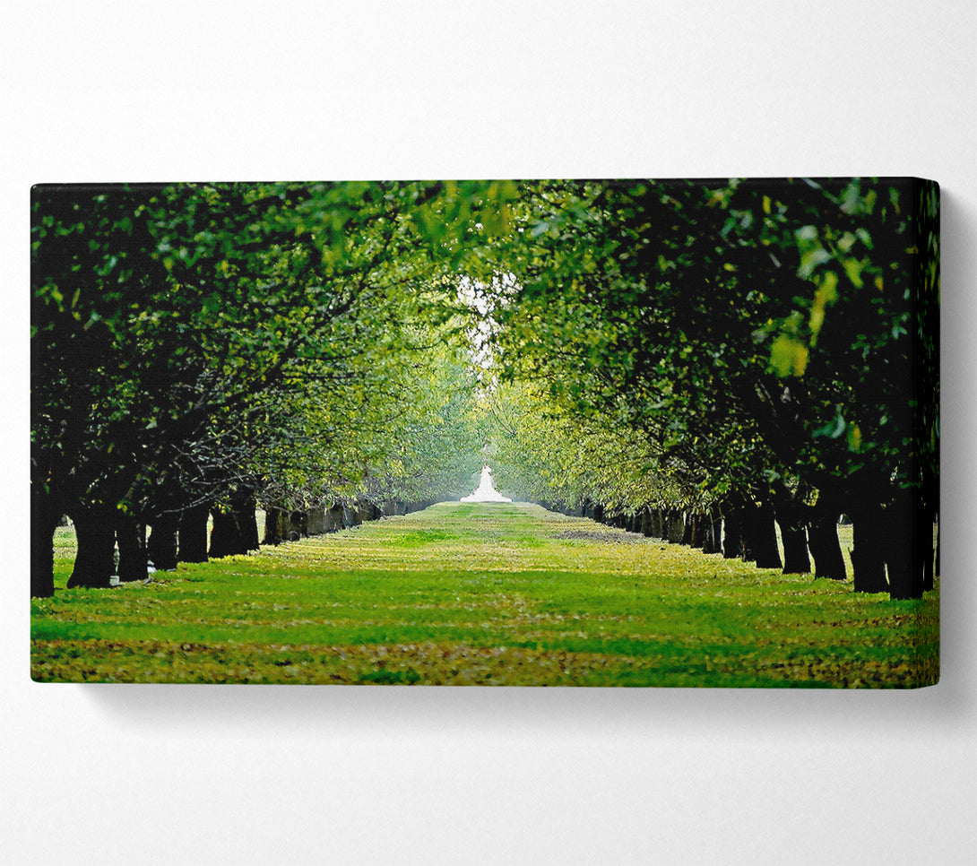  A Canvas Print of Orchard Canvas Print