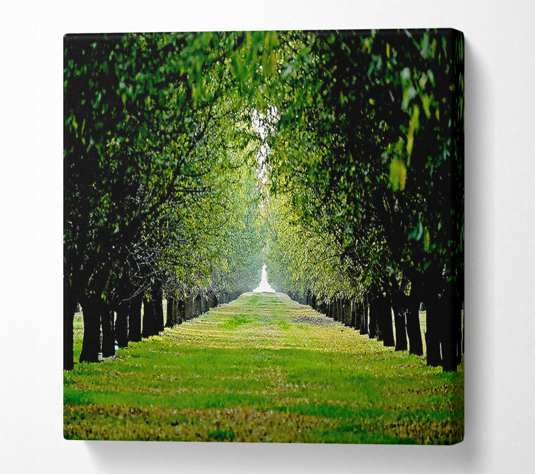  A Canvas Print of Orchard Canvas Print