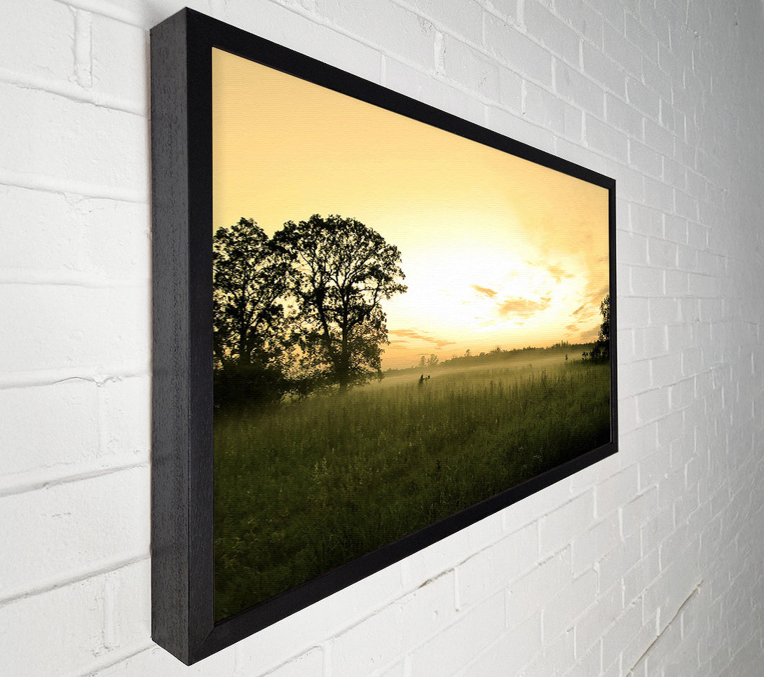  A Canvas Print of Summer Morning Mist Canvas Print