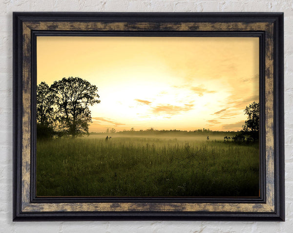 Summer Morning Mist Framed Print