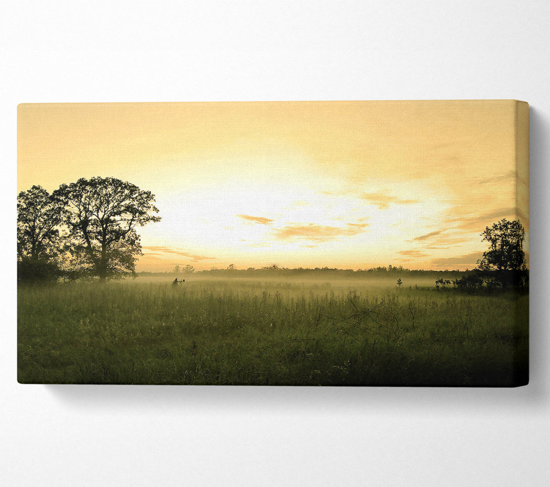  A Canvas Print of Summer Morning Mist Canvas Print