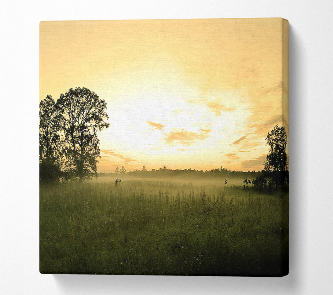  A Canvas Print of Summer Morning Mist Canvas Print