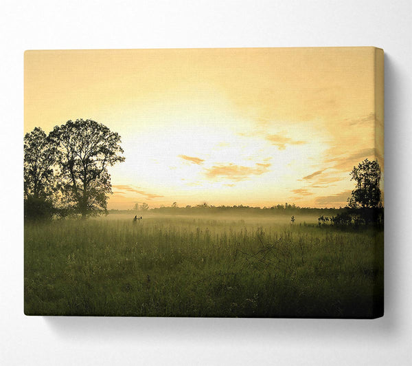  A Canvas Print of Summer Morning Mist Canvas Print