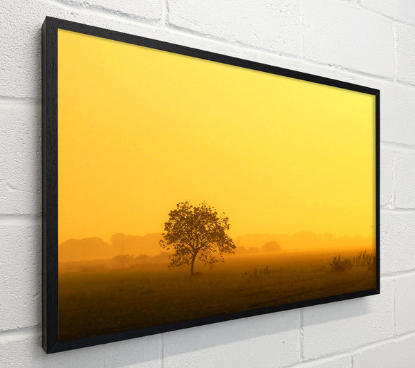 Misty Morning