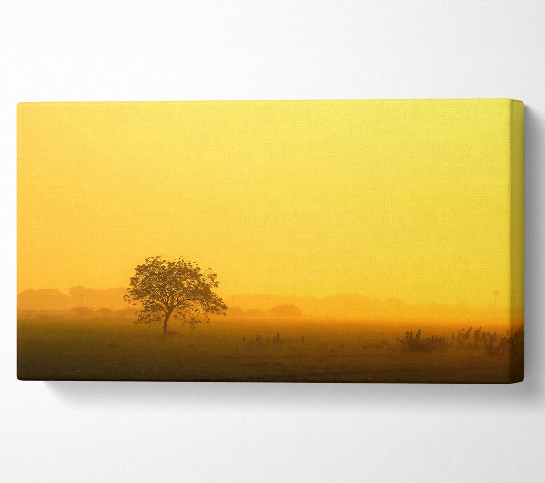  A Canvas Print of Misty Morning Canvas Art