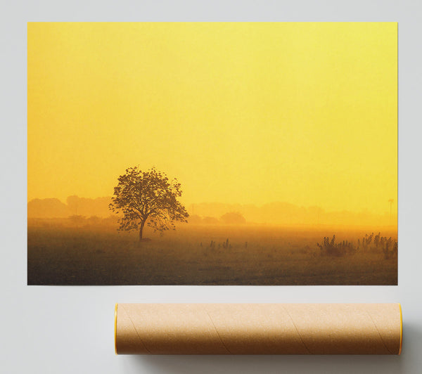 Misty Morning Print
