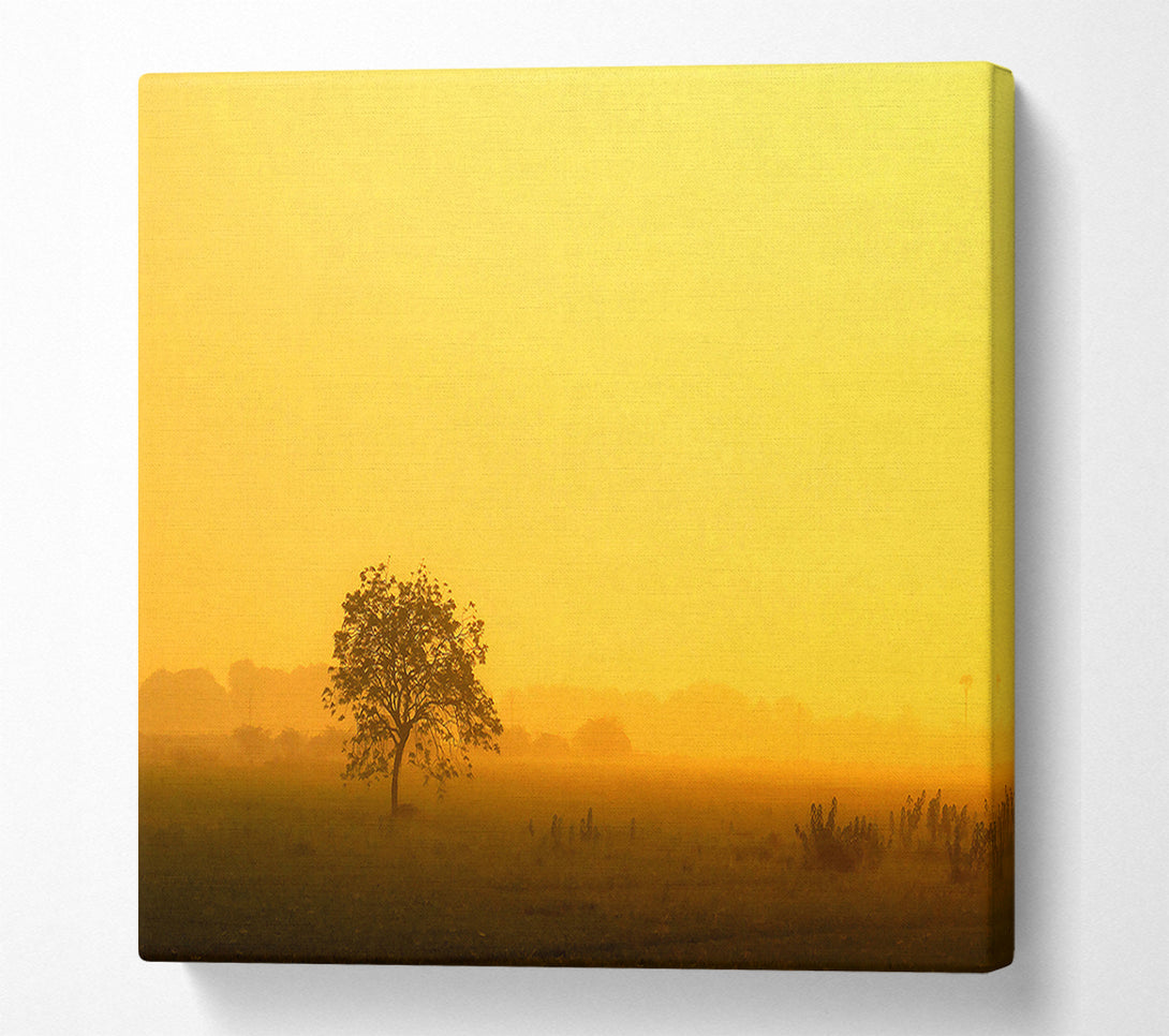  A Canvas Print of Misty Morning Canvas Art
