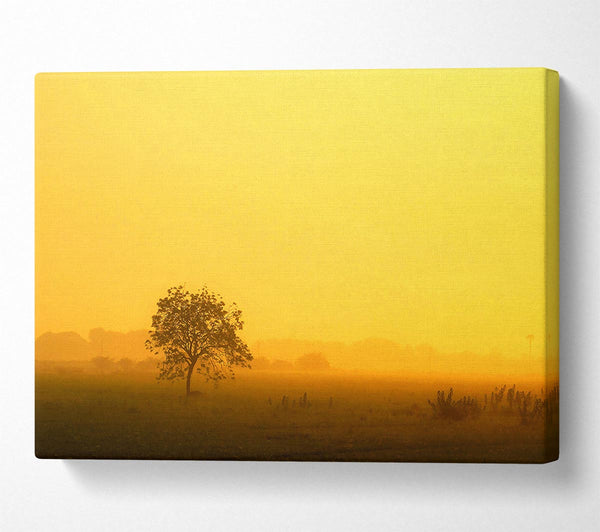  A Canvas Print of Misty Morning Canvas Art