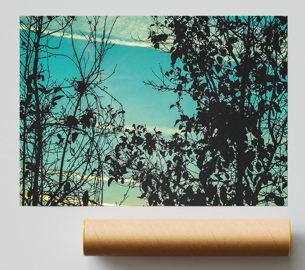 Sunset Time Print