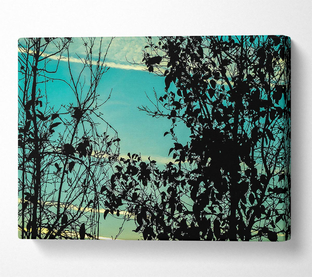  A Canvas Print of Sunset Time Canvas Print