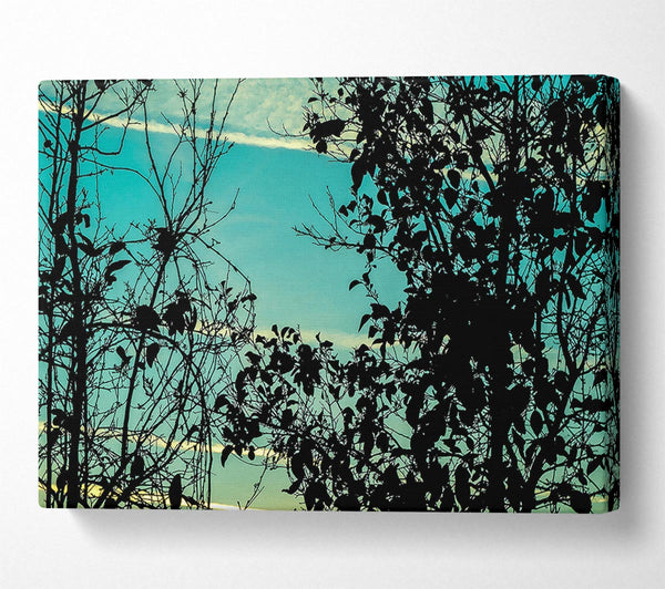  A Canvas Print of Sunset Time Canvas Print