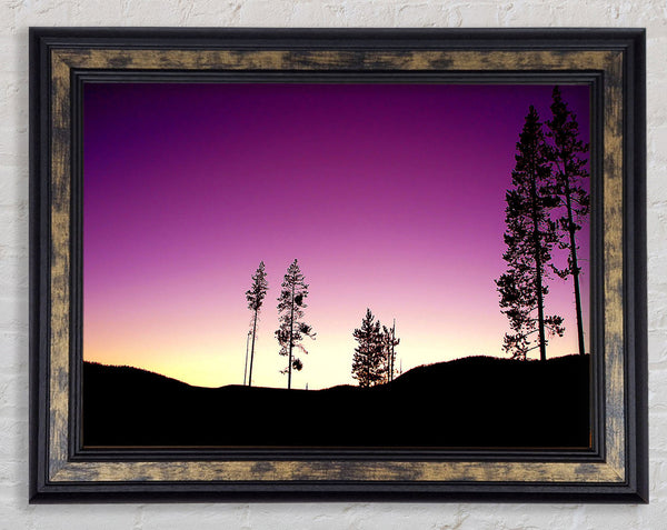 Purple Evening Framed Print