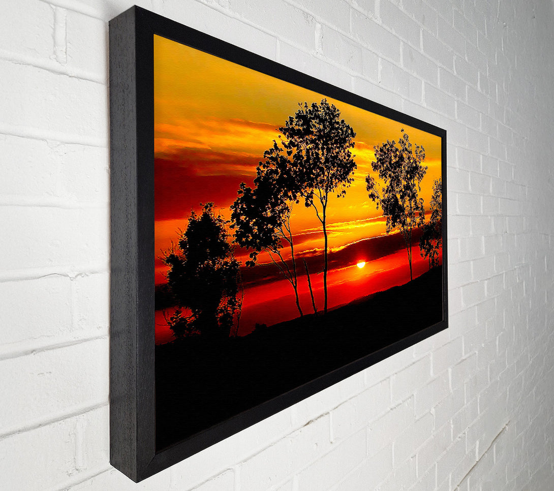  A Canvas Print of Red Sunrise Through The Trees Canvas Art