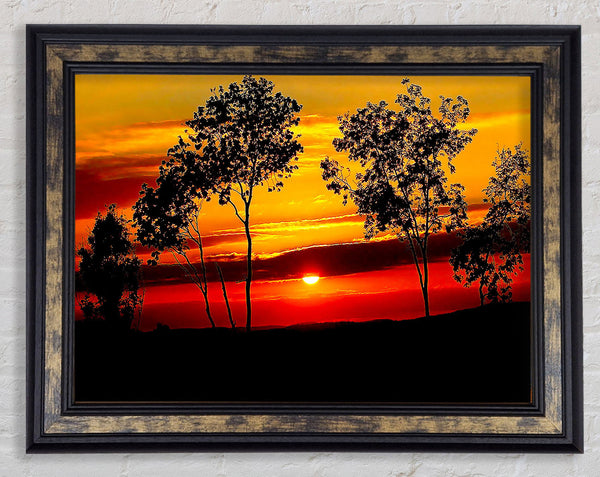 Red Sunrise Through The Trees Framed Print