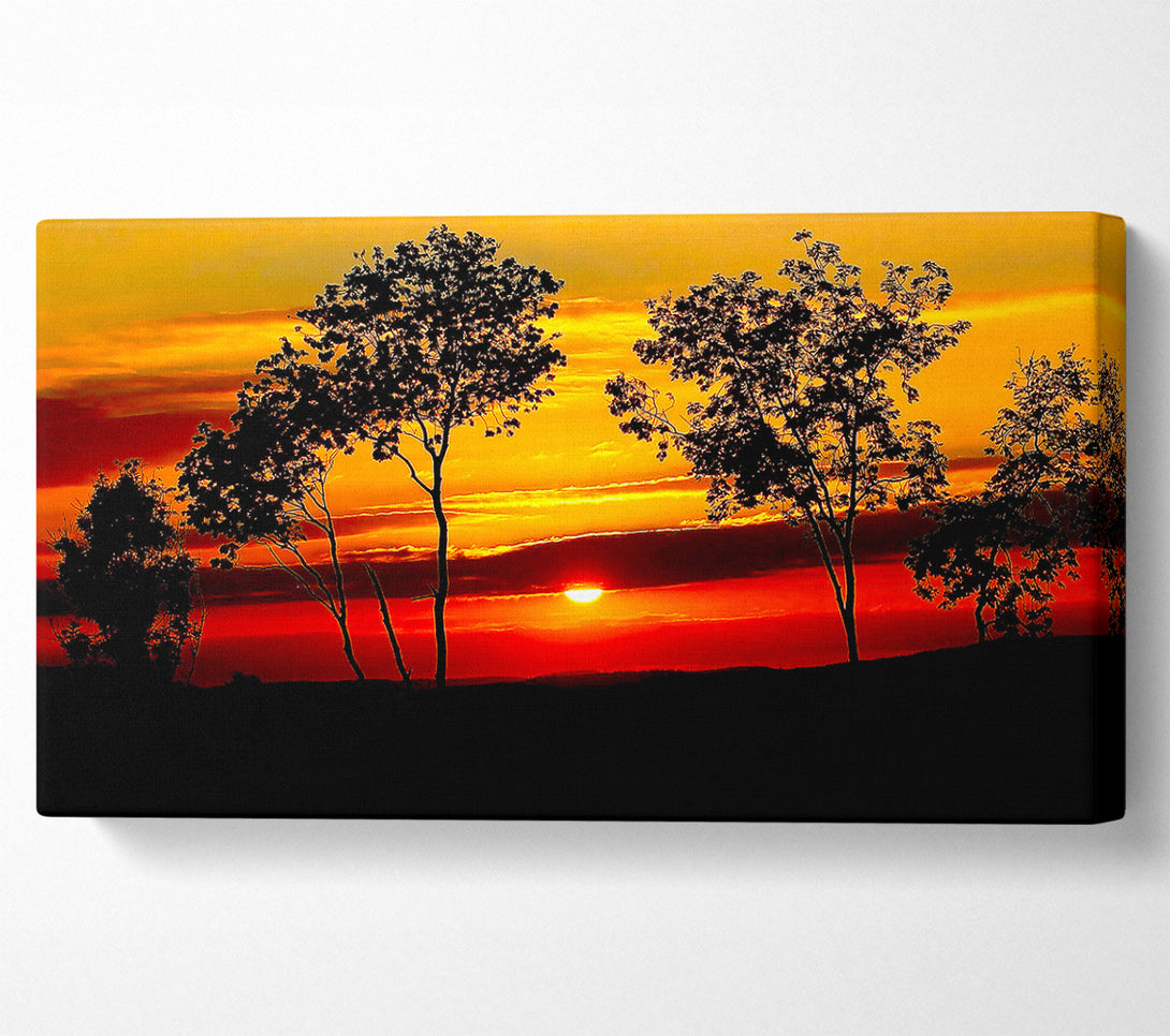  A Canvas Print of Red Sunrise Through The Trees Canvas Art