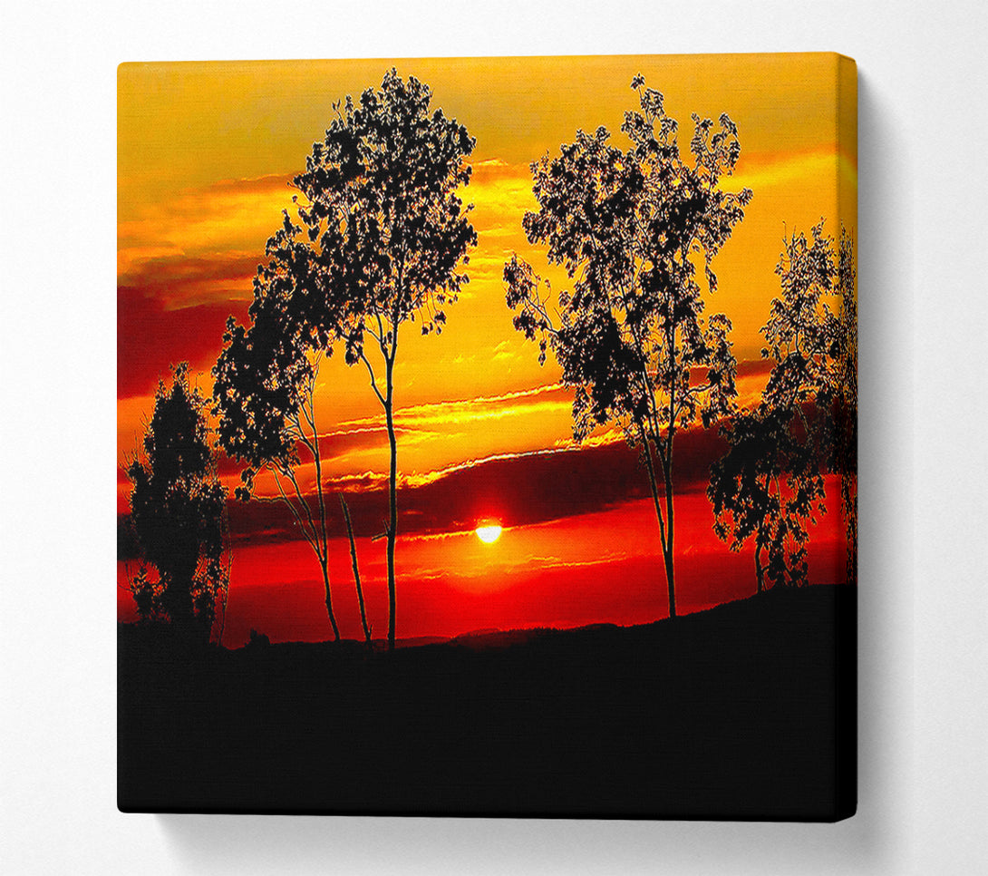  A Canvas Print of Red Sunrise Through The Trees Canvas Art