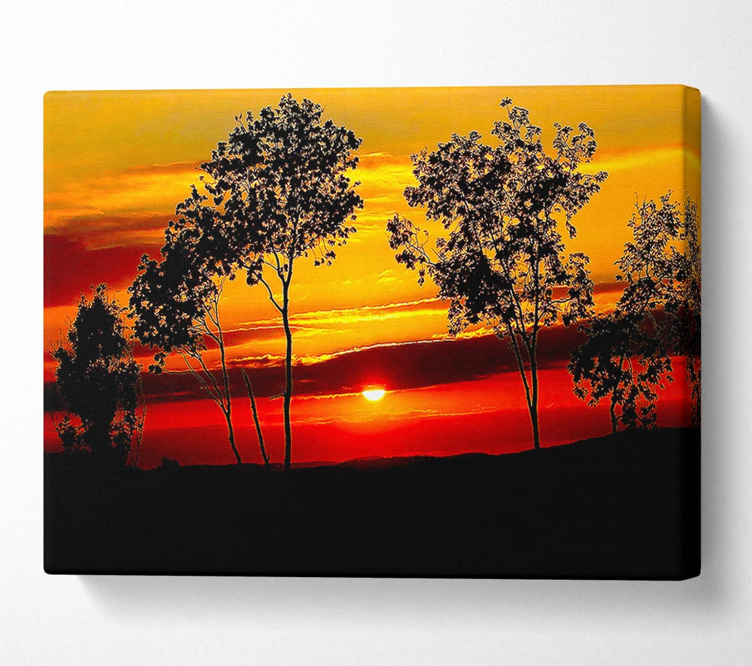  A Canvas Print of Red Sunrise Through The Trees Canvas Art