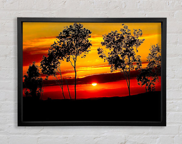 Roter Sonnenaufgang durch die Bäume