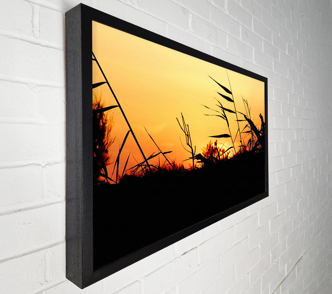  A Canvas Print of Sunset Reeds Canvas Wall Art
