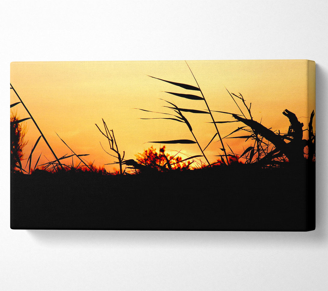  A Canvas Print of Sunset Reeds Canvas Wall Art