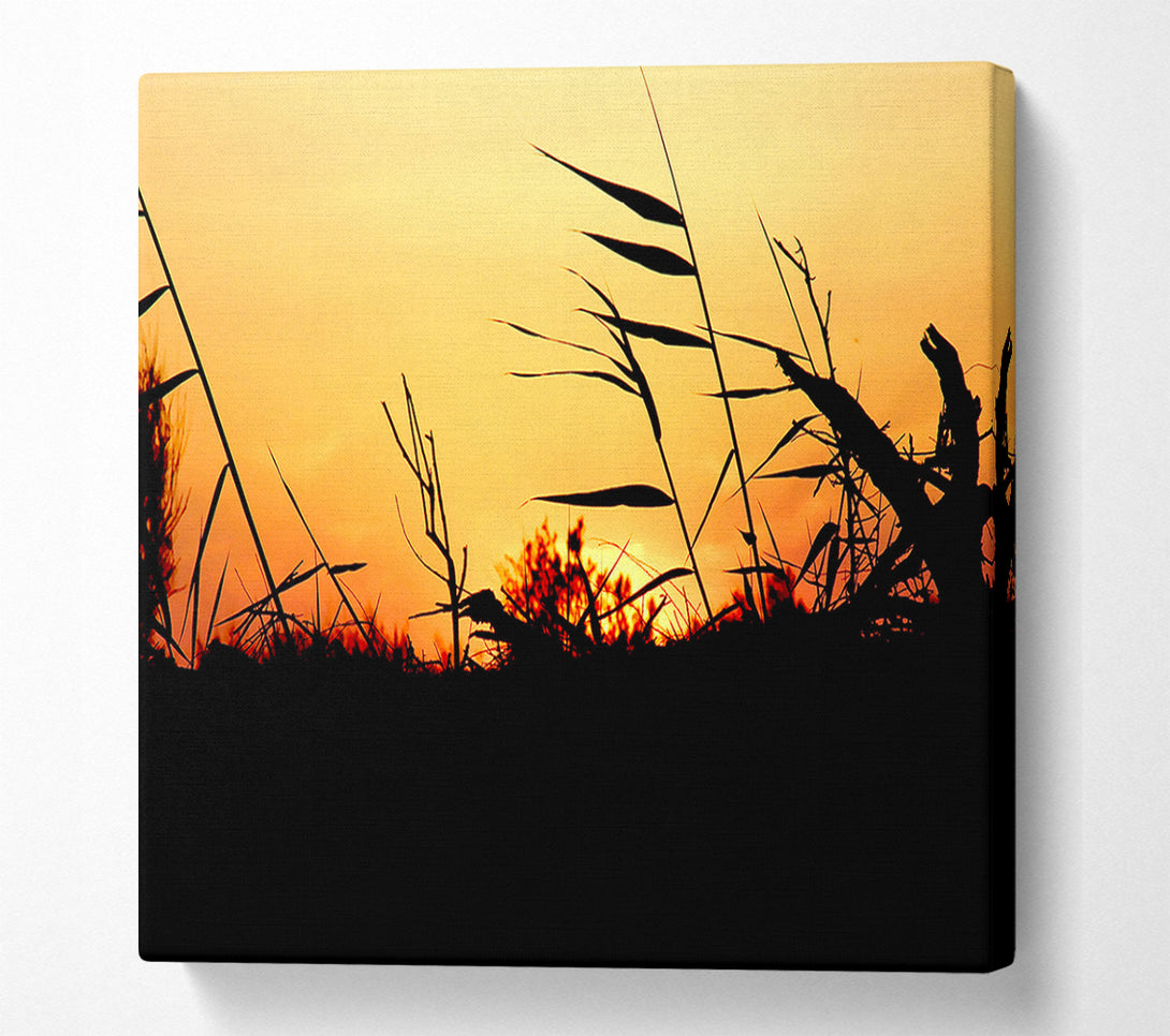  A Canvas Print of Sunset Reeds Canvas Wall Art