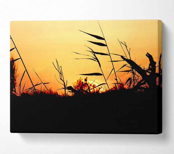  A Canvas Print of Sunset Reeds Canvas Wall Art