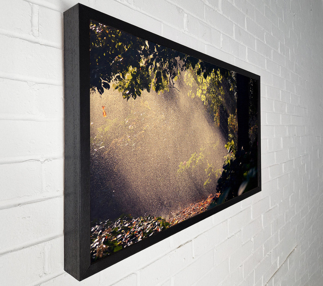  A Canvas Print of Summer Rain Forest Canvas Print