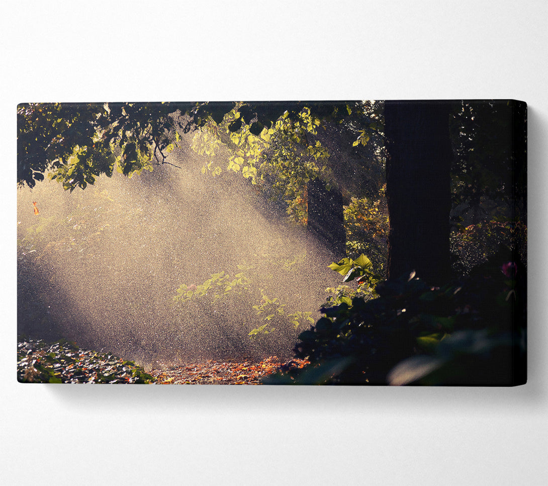  A Canvas Print of Summer Rain Forest Canvas Print